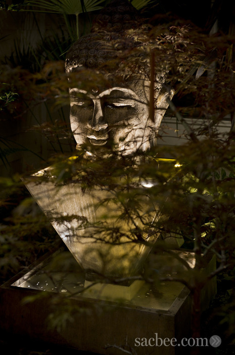 Shimmering Water Lighting on Buddha Sculpture