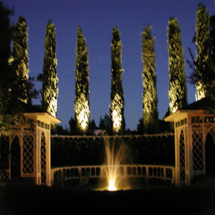 an image of a fountain illuminated at night