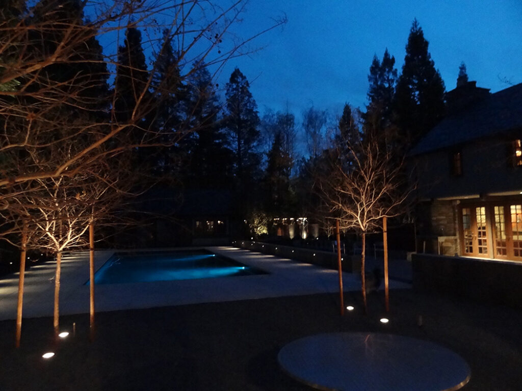 an image of outdoor residential landscape lighting