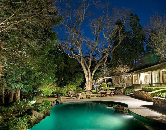 Custom Landscape Lighting with Tree Features