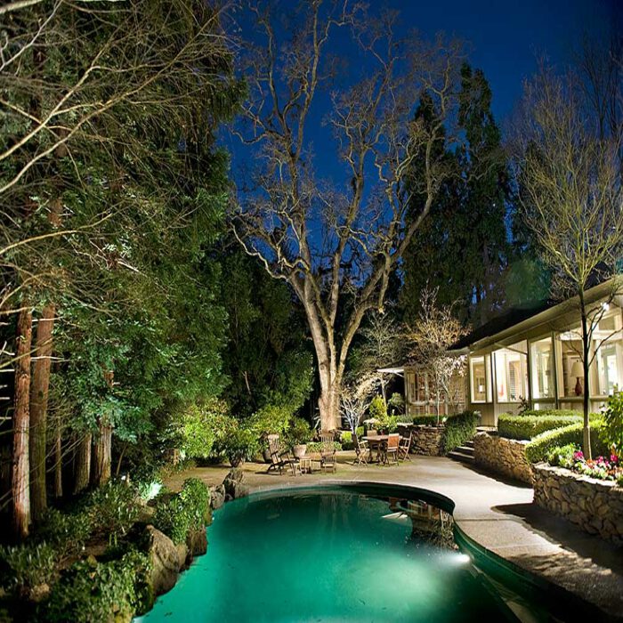 an image of outdoor residential landscape lighting