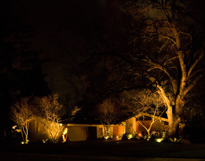 Landscape Lighting with Tree Features