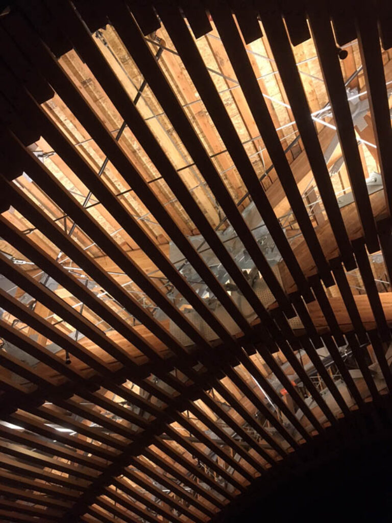 The Barn Illuminated Canopy